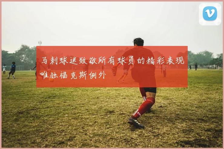 马刺球迷致敬所有球员的精彩表现唯独福克斯例外
